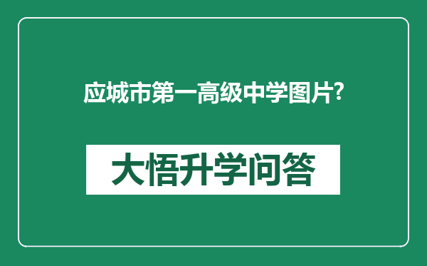 应城市第一高级中学图片?