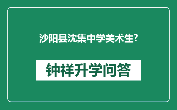 沙阳县沈集中学美术生?