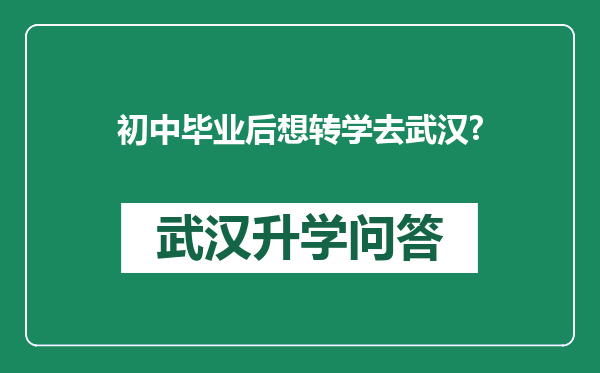 初中毕业后想转学去武汉?