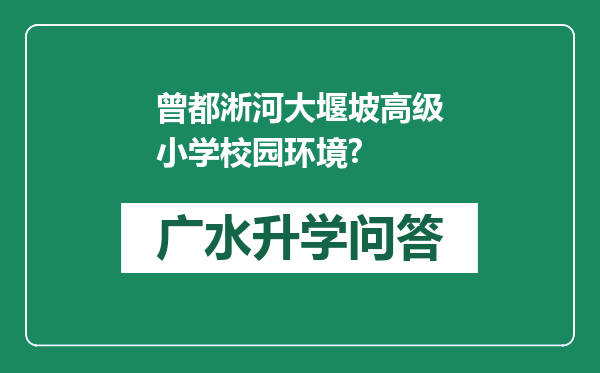 曾都淅河大堰坡高级小学校园环境?