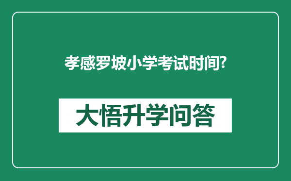 孝感罗坡小学考试时间?