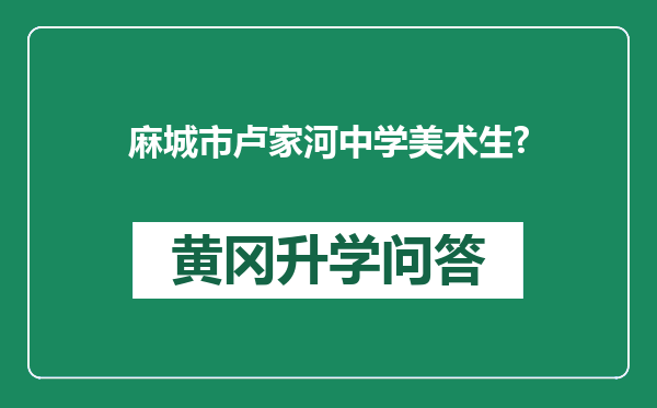 麻城市卢家河中学美术生?