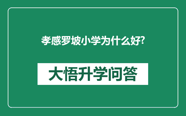孝感罗坡小学为什么好?