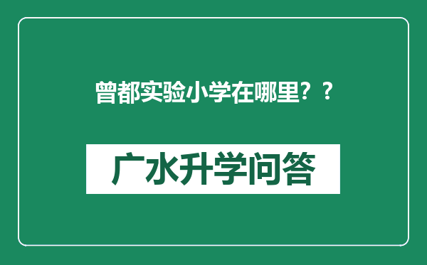 曾都实验小学在哪里？?