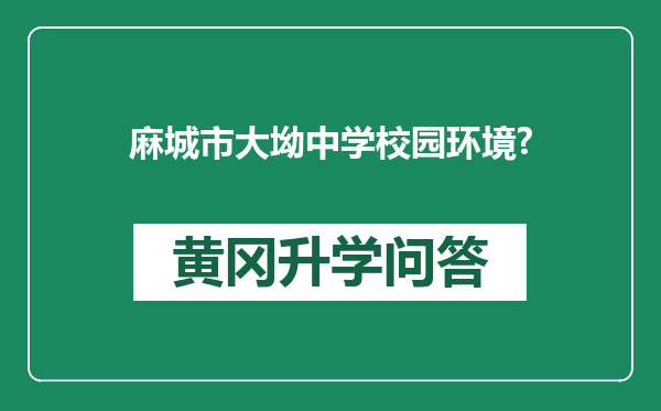 麻城市大坳中学校园环境?