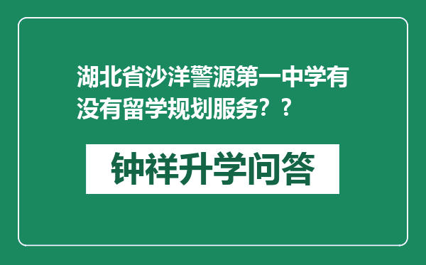 湖北省沙洋警源第一中学有没有留学规划服务？?