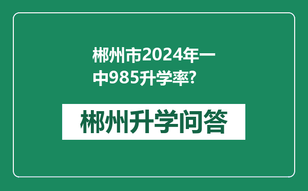 郴州市2024年一中985升学率?