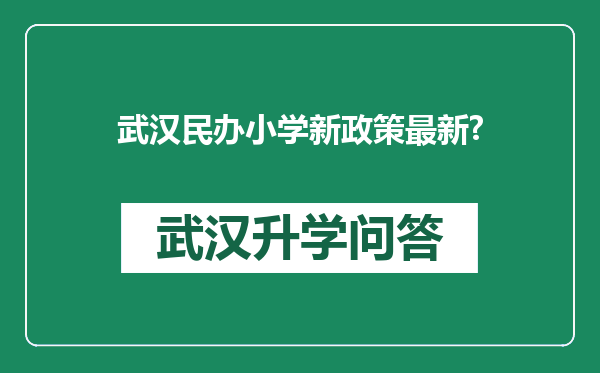 武汉民办小学新政策最新?