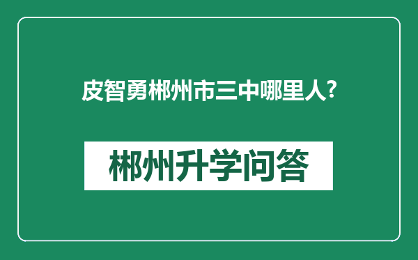 皮智勇郴州市三中哪里人?