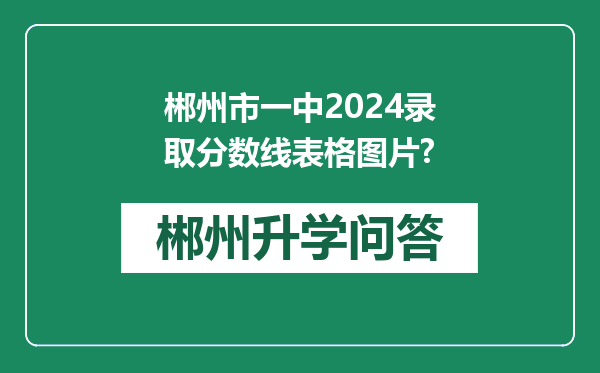 郴州市一中2024录取分数线表格图片?