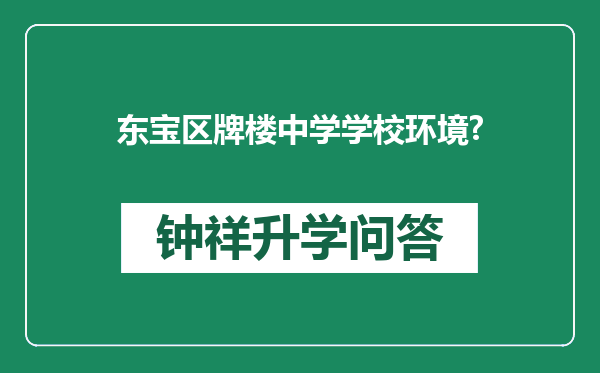 东宝区牌楼中学学校环境?