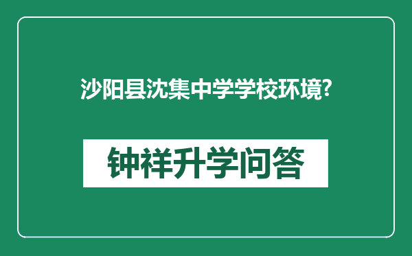 沙阳县沈集中学学校环境?