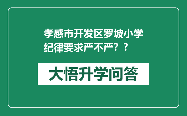 孝感市开发区罗坡小学纪律要求严不严？?