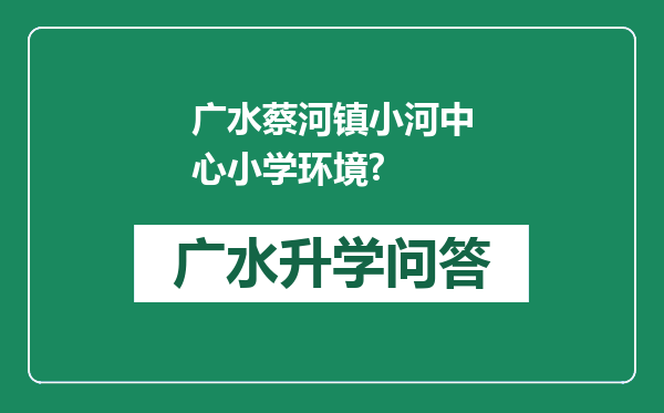 广水蔡河镇小河中心小学环境?