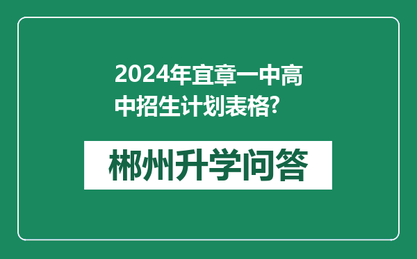 2024年宜章一中高中招生计划表格?