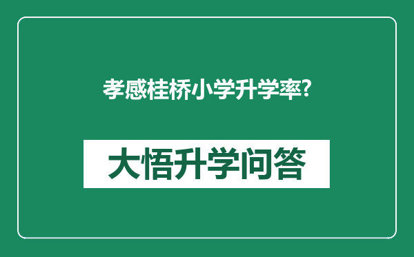 孝感桂桥小学升学率?