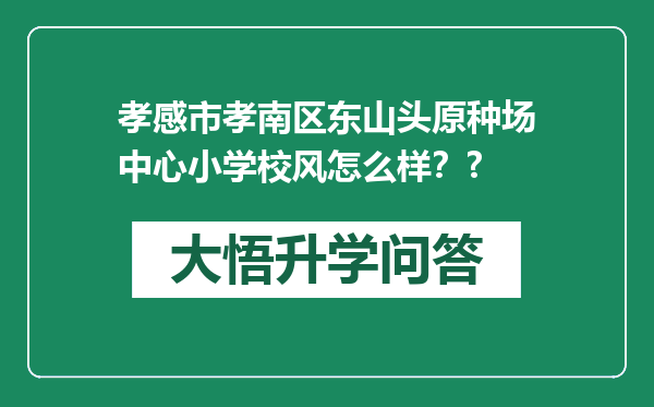 孝感市孝南区东山头原种场中心小学校风怎么样？?