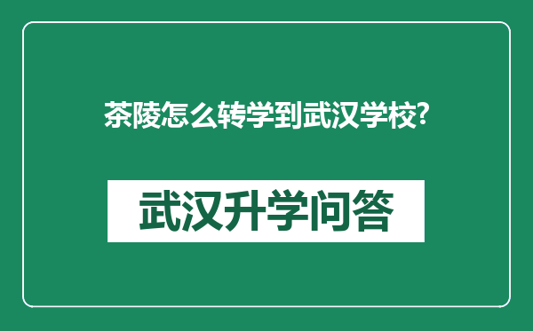 茶陵怎么转学到武汉学校?