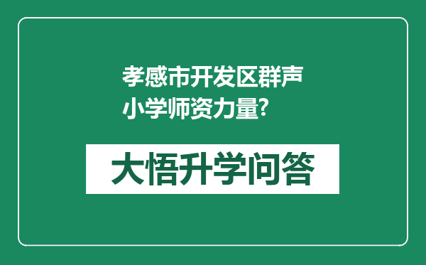 孝感市开发区群声小学师资力量?