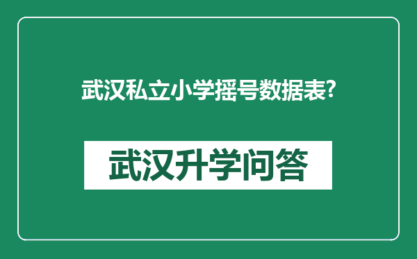 武汉私立小学摇号数据表?