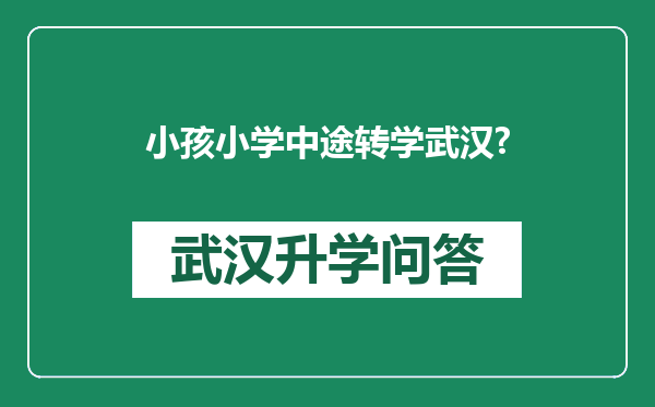 小孩小学中途转学武汉?