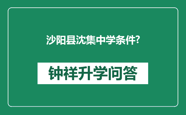 沙阳县沈集中学条件?