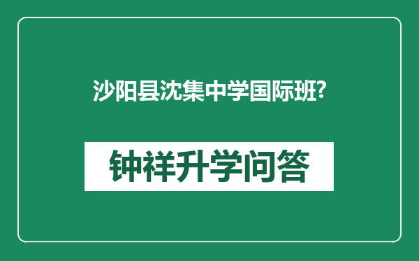 沙阳县沈集中学国际班?