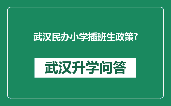 武汉民办小学插班生政策?