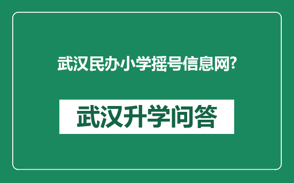 武汉民办小学摇号信息网?