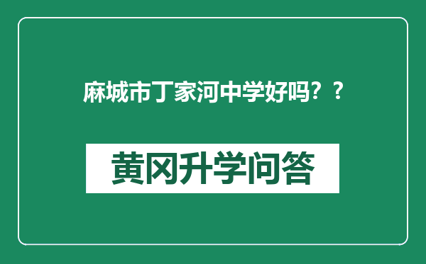 麻城市丁家河中学好吗？?