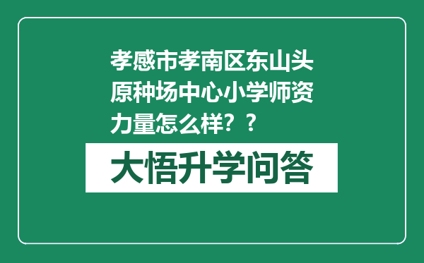 孝感市孝南区东山头原种场中心小学师资力量怎么样？?