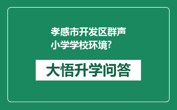 孝感市开发区群声小学学校环境?