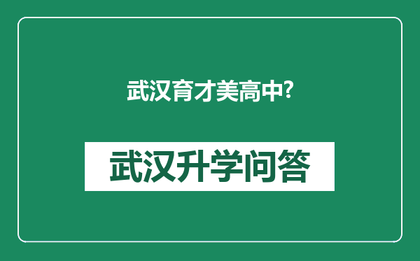 武汉育才美高中?