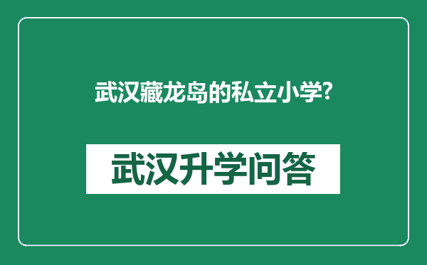 武汉藏龙岛的私立小学?