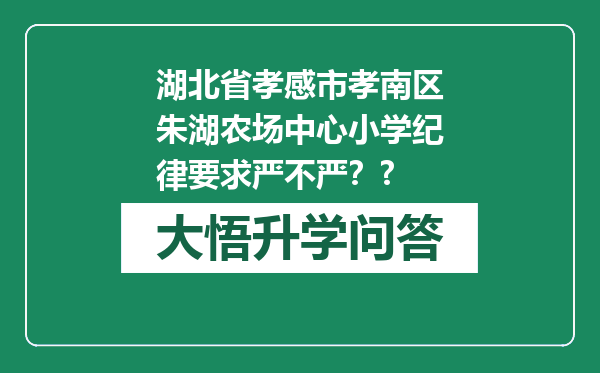 湖北省孝感市孝南区朱湖农场中心小学纪律要求严不严？?