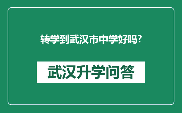 转学到武汉市中学好吗?