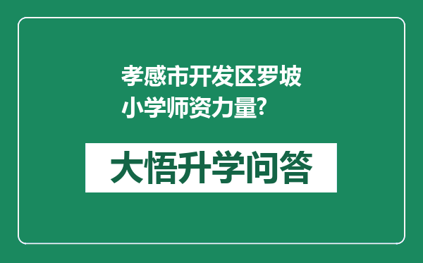 孝感市开发区罗坡小学师资力量?