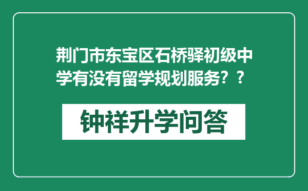 荆门市东宝区石桥驿初级中学有没有留学规划服务？?