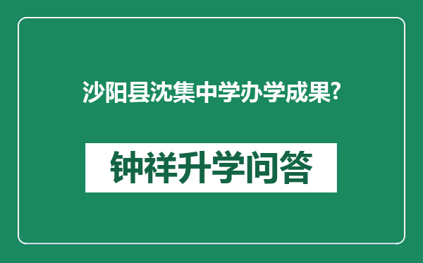 沙阳县沈集中学办学成果?