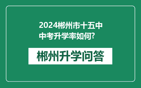 2024郴州市十五中中考升学率如何?
