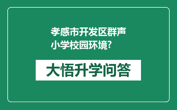 孝感市开发区群声小学校园环境?
