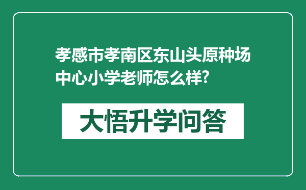 孝感市孝南区东山头原种场中心小学老师怎么样?
