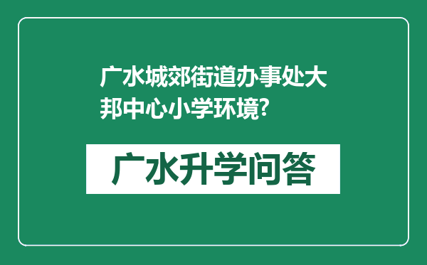 广水城郊街道办事处大邦中心小学环境?