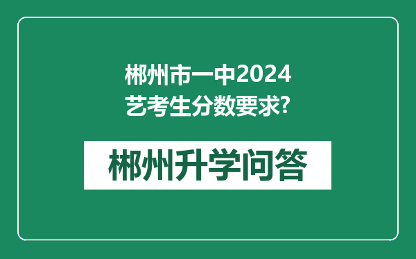 郴州市一中2024艺考生分数要求?