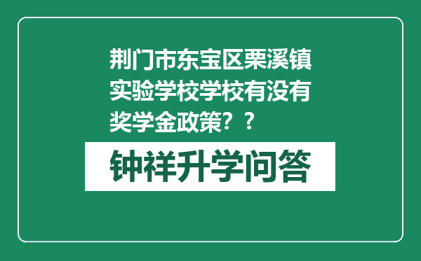 荆门市东宝区栗溪镇实验学校学校有没有奖学金政策？?
