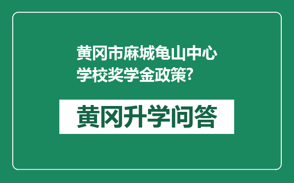 黄冈市麻城龟山中心学校奖学金政策?