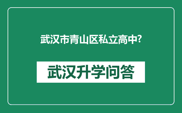 武汉市青山区私立高中?