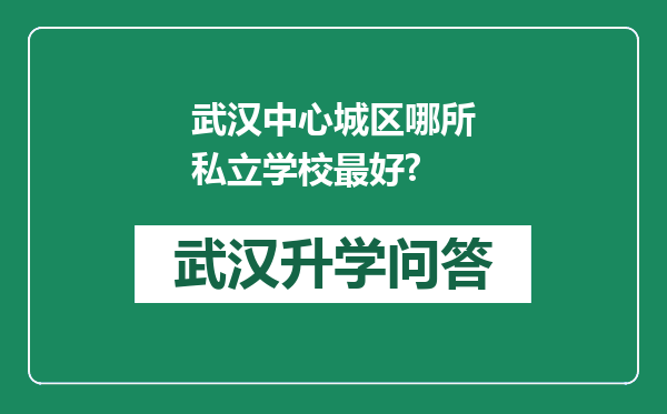 武汉中心城区哪所私立学校最好?