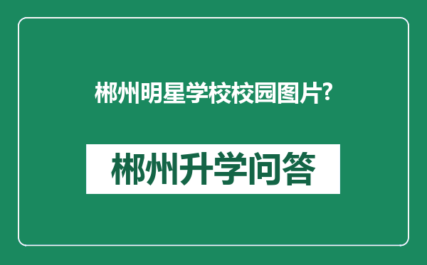 郴州明星学校校园图片?