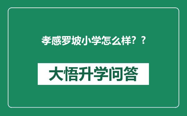 孝感罗坡小学怎么样？?